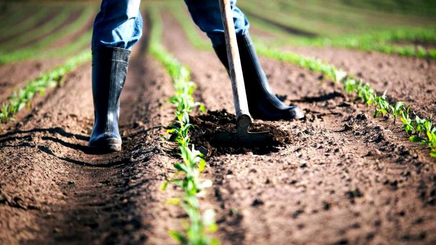 Agricultores